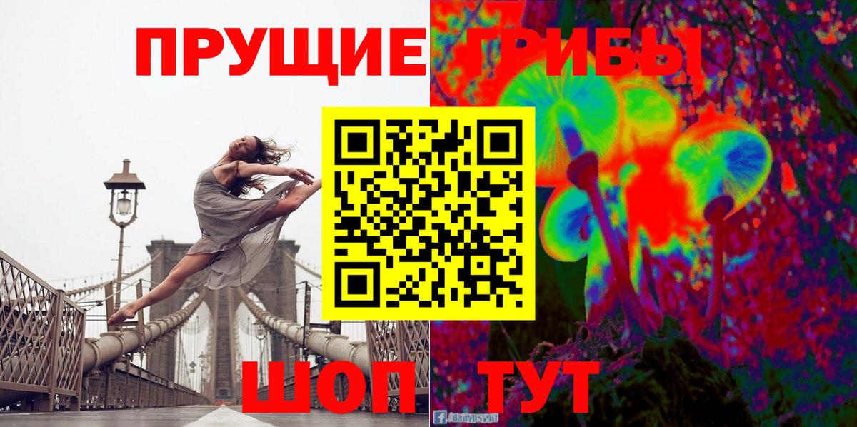 где можно купить наркотик  Вход с VPN  Домодедово  Галлюциногенные грибы GOLDEN TEACHER 